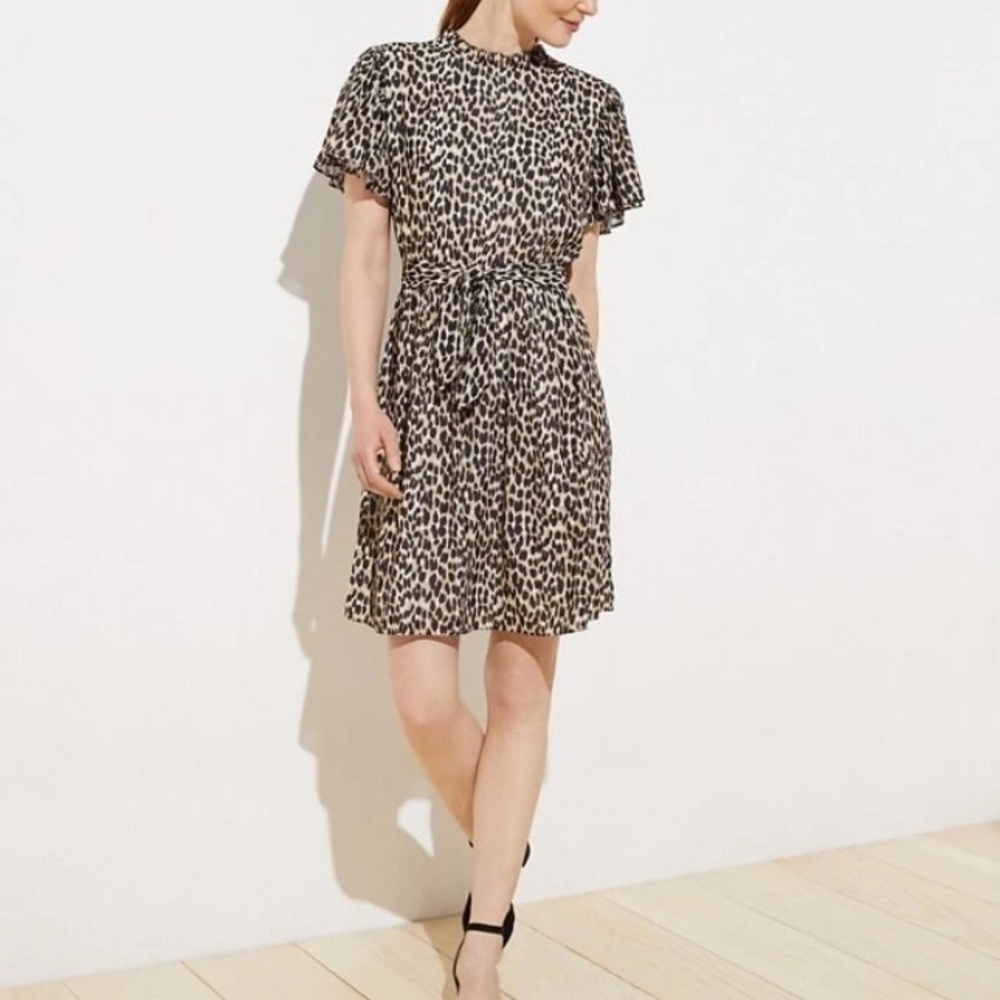 Leopard dress